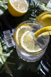 Draufsicht auf ein Glas kaltes erfrischendes alkoholisches Getränk mit Eiswürfeln, garniert mit einer Zitronenscheibe und auf einem Tisch in einer Bar platziert - ADSF16333