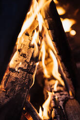 From above camping fireplace with burning firewood in snowy winter day - ADSF16450