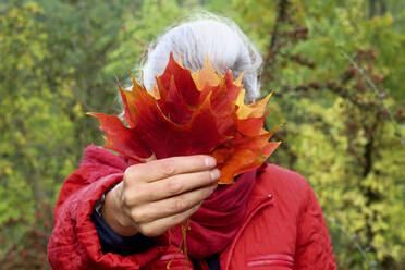 Reife Frau mit weißem Haar hält Herbstblätter im Wald - JTF01655