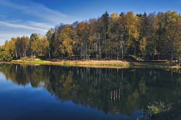 Glänzender See, in dem sich der umliegende Herbstwald spiegelt - KNTF05675