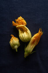 Fresh raw zucchini flowers on dark blue linen tablecloth - ADSF16530