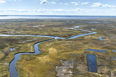 USA, Maryland, Drohnenansicht der Sümpfe entlang des Nanticoke River an der Ostküste - BCDF00435