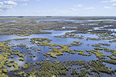 USA, Maryland, Drohnenansicht der Sümpfe entlang des Nanticoke River an der Ostküste - BCDF00438