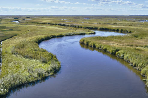 USA, Maryland, Drohnenansicht des Sumpfes entlang des Nanticoke River an der Ostküste - BCDF00440