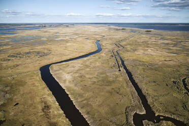 USA, Maryland, Drohnenansicht der Sümpfe entlang des Nanticoke River an der Ostküste - BCDF00445