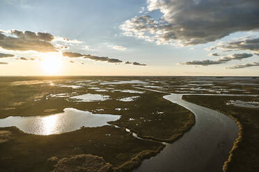 USA, Maryland, Drohnenansicht des Sumpfes entlang des Blackwater River bei Sonnenuntergang - BCDF00452