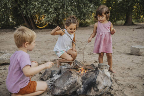 Kids making barbecue at beach stock photo