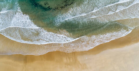 Luftaufnahme vom Rand des Sandstrandes an der Küste - MGOF04538