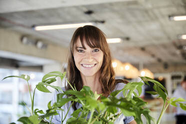 Happy woman holding potted plant while standing at home - FMKF06504