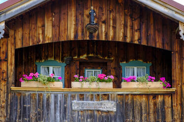 Blühende Topfblumen auf einem Holzbalkon - LBF03247