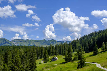 Aussicht auf Wolken über einer einsamen Hütte in den bayerischen Alpen im Sommer - LBF03254