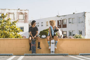 Freunde mit Skateboard und Hund unterhalten sich, während sie auf einer Stützmauer in der Stadt sitzen - DAMF00555