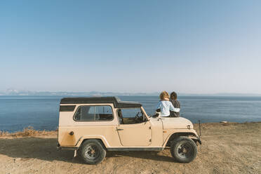 Couple admiring sea view while sitting with dog on car at beach - DAMF00562