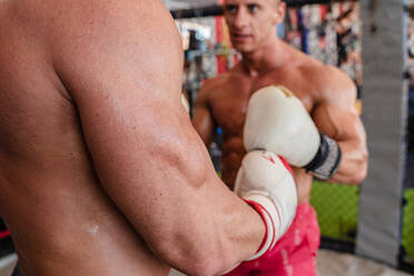 Side view of unrecognizable muscular male boxers in gloves and with naked torsos greeting each other before fight on boxing ring - ADSF16636