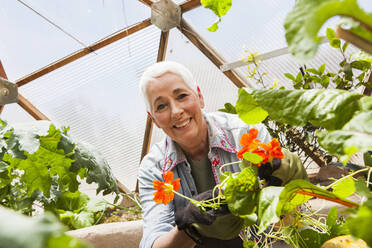Lächelnde ältere Frau bei der Gartenarbeit in einer geodätischen Kuppel, einem klimatisierten Glashaus - MINF15209