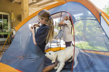 Teenager-Mädchen und ihr jüngerer Bruder bauen ein Zelt auf, ein süßer Welpe zerrt am Zeltstoff. - MINF15236