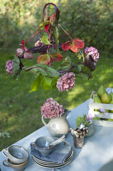 DIY-Lampenschirm aus Rote-Bete-Blättern und blühenden Hortensien, der über einem Couchtisch im Garten hängt - GISF00666