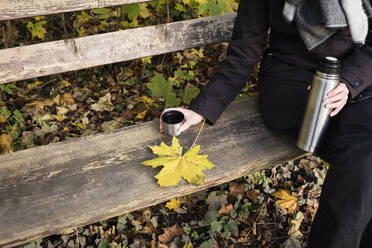 Autumn leaf and woman sitting on wooden bench with thermos in hands - EVGF03844