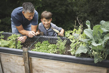 Smiling boy learning gardening from father while leaning on raised bed at garden - HMEF01082