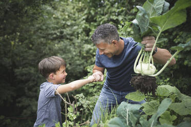 Smiling man holding kohlrabi while giving fist bump to son in garden - HMEF01088