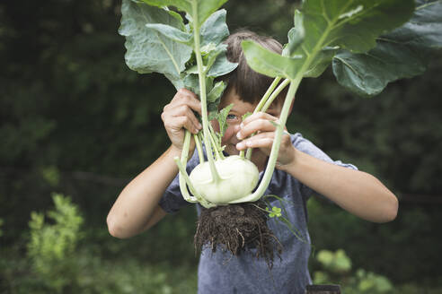 Niedlicher Junge mit frischem Kohlrabi in der Hand, während er im Gemüsegarten steht - HMEF01090