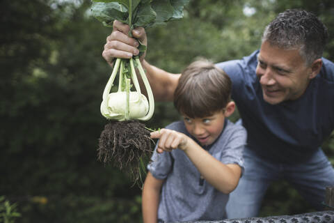Man holding kohlrabi while playful boy pointing at root in garden stock photo