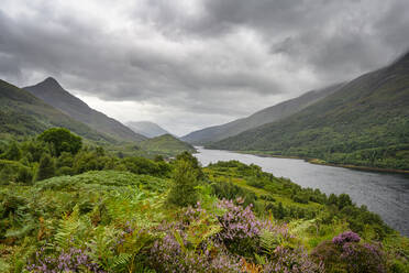 Wolken über dem üppigen Ufer des Loch Leven - ELF02257