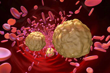 3D illustration of lymphocyte and blood cells - SPCF01037