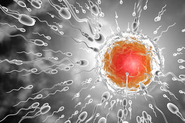 3D gerenderte Illustration von Samenzellen, die um die Befruchtung einer Eizelle rennen - SPCF01038