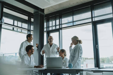 Doctors and scientist having discussion while standing at office - MFF06314