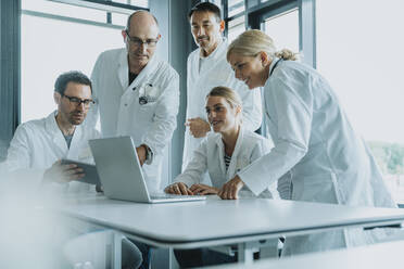 Ein Team von Ärzten und Wissenschaftlern benutzt einen Laptop bei der Arbeit im Büro - MFF06318