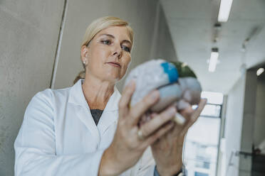 Frau, die ein mehrfarbiges künstliches Gehirn hält, während sie in einem Klinikkorridor steht - MFF06333