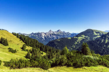 Blick auf einen klaren blauen Himmel über einem bewaldeten Tal in den Tannheimer Bergen - THAF02909