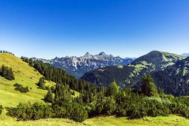 Scenic view of clear blue sky over forested valley in Tannheim Mountains - THAF02909