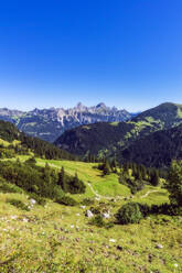 Scenic view of clear blue sky over forested valley in Tannheim Mountains - THAF02910