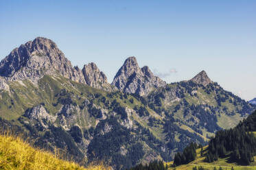 Panoramaaussicht auf die Gipfel der Tannheimer Berge - THAF02912