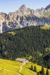 Panoramablick über das bewaldete Tannheimer Tal - THAF02913