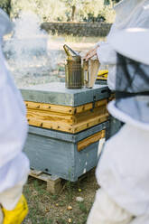 Unkenntlich gemachte Ernte Imker in Schutzkleidung bei der Verwendung eines Bienenräuchers in einem Bienenstock im Sommer - ADSF16772