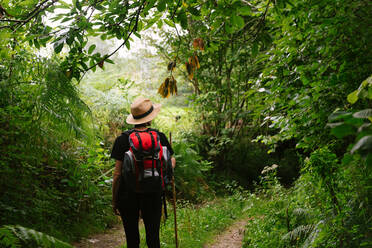 Rückenansicht eines nicht erkennbaren Touristen mit Rucksack und Hut, der auf einem Waldweg steht und wegschaut - ADSF16825