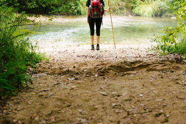 Back view of faceless tourist with backpack and wooden stick standing near clear pond in forest and admiring natural landscape - ADSF16827