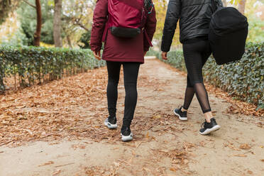 Female friends walking on footpath at park during autumn - MRRF00578