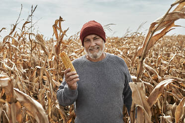 Lächelnder Bauer, der Mais hält, während er auf dem Bauernhof steht - ZEDF03987