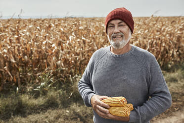 Lächelnder Bauer, der auf einem Bauernhof stehend Mais sammelt - ZEDF03990