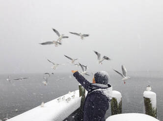 Active senior woman feeding seagulls at Lake Mondsee during winter - WWF05466