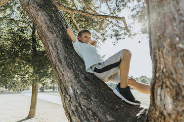 Junge liegt mit den Händen hinter dem Kopf auf einem Baumstamm in einem öffentlichen Park an einem sonnigen Tag - MFF06397