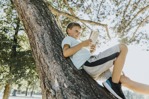 Boy reading book while lying on tree trunk in public park - MFF06398