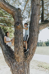 Mother and son sitting on pine tree in public park - MFF06400