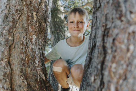 Boy peeking through branches of pine tree in public park on sunny day stock photo