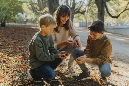 Mother and sons collecting chestnuts in public park - MFF06426