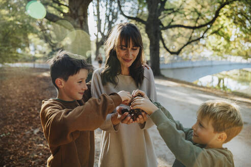 Mother and sons collecting chestnuts while standing in public park - MFF06427